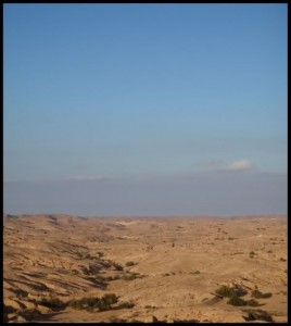 Sahara 313 Između Tataoumine i Matmate 6