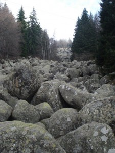 (Slika 8) - Morenite, kamena rijeka, ispod tece potočić Morenite, kamena rijeka, ispod tece potočić