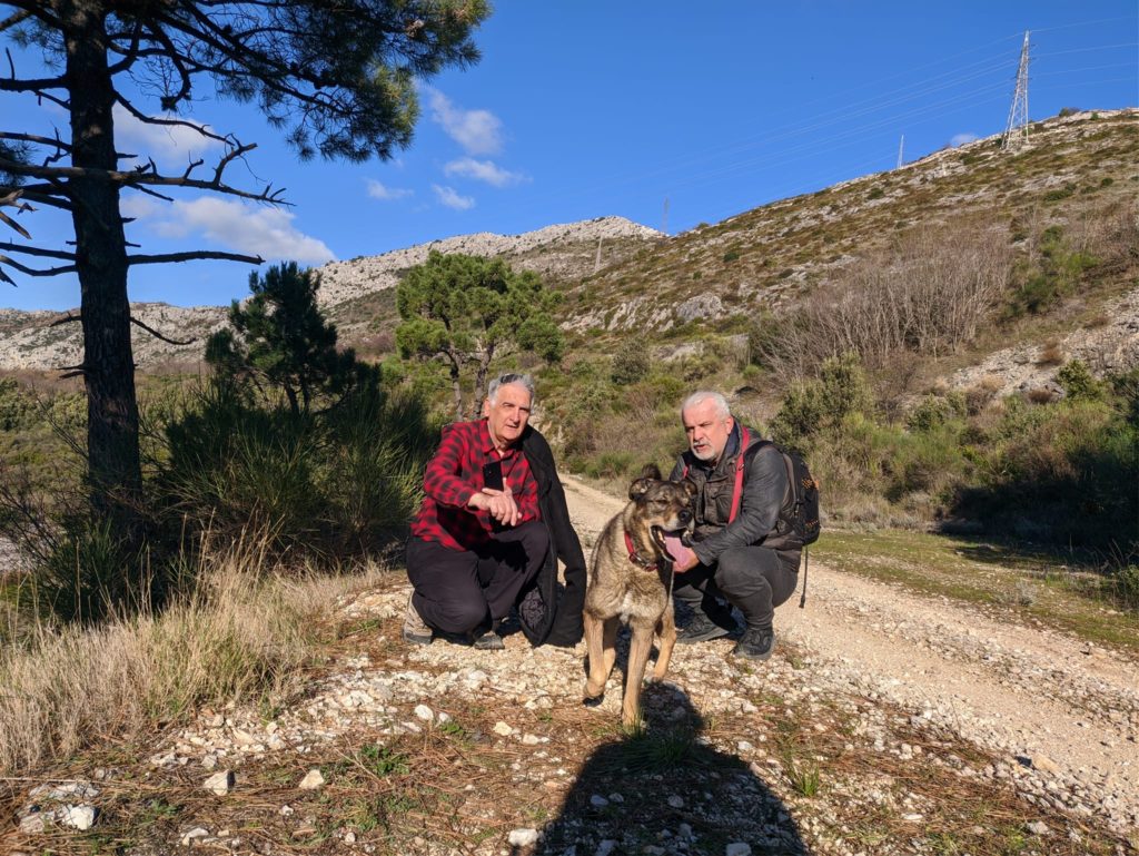 Rocky s mladićima